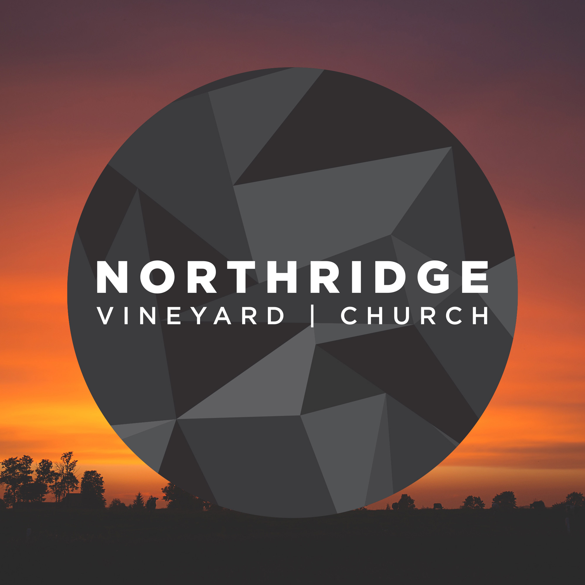 Northridge Vineyard Evening Community